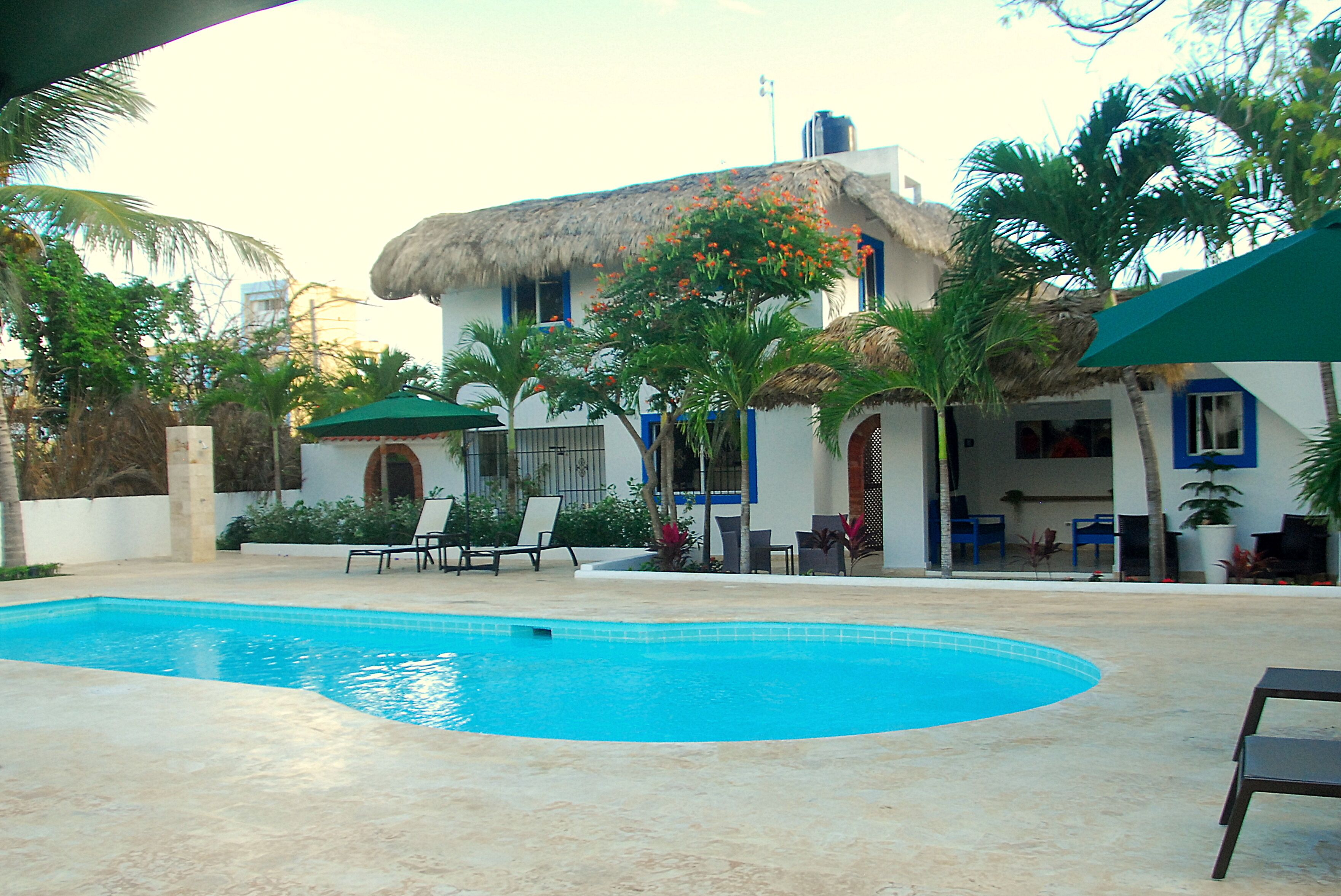 Foto - Nuovo Hotel Playa Catalina