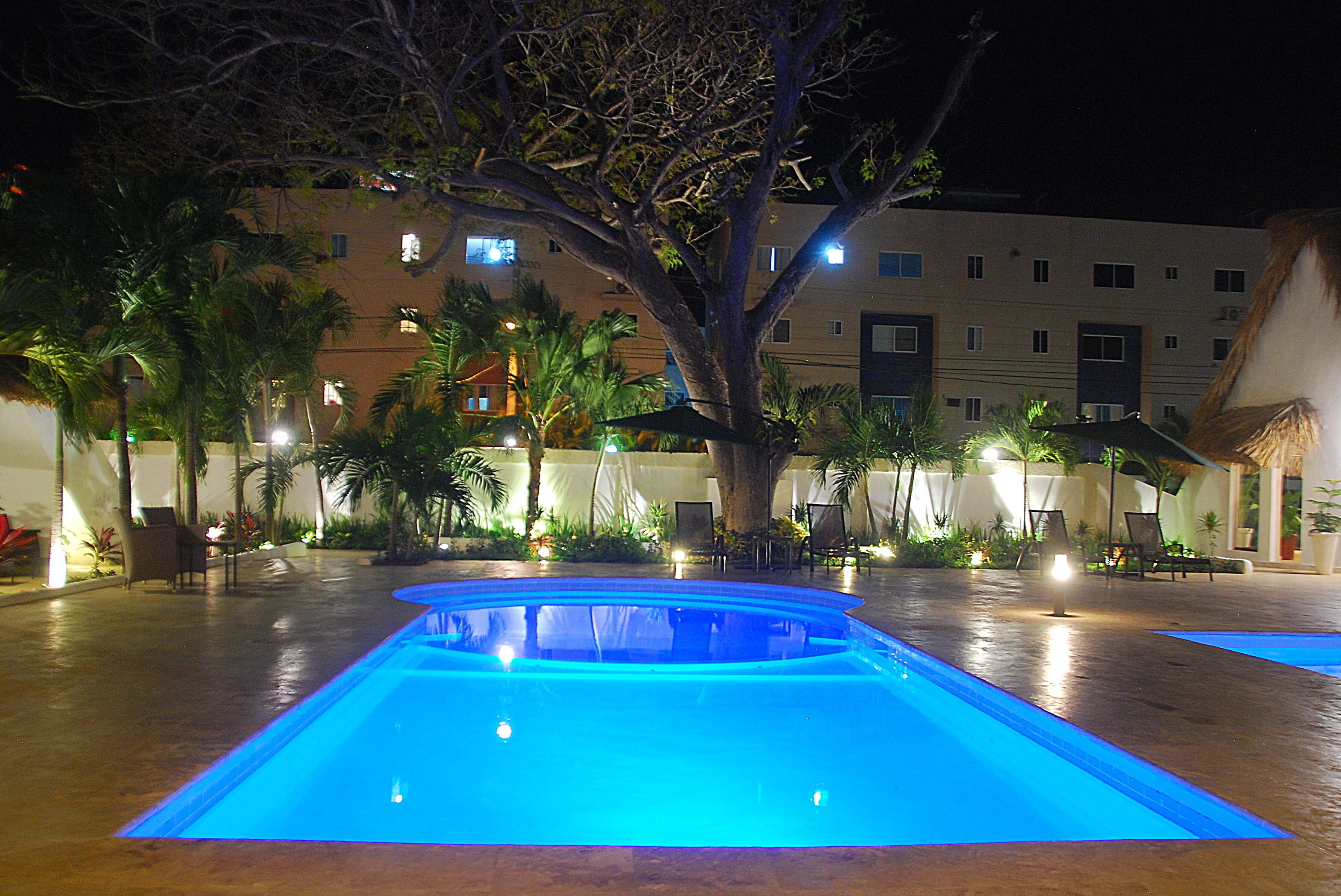 Una piscina con un árbol en el centro, rodeada de palmeras y sillas de descanso.