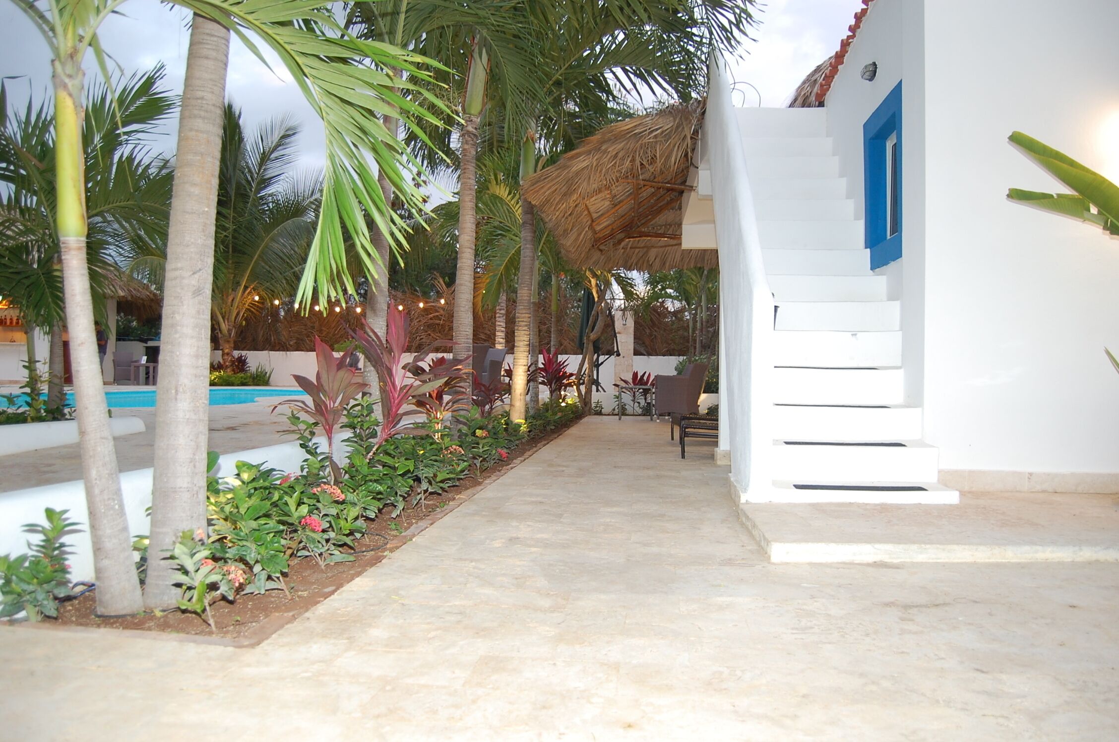 A poolside area with a concrete pathway, palm trees, and a white building with blue accents.