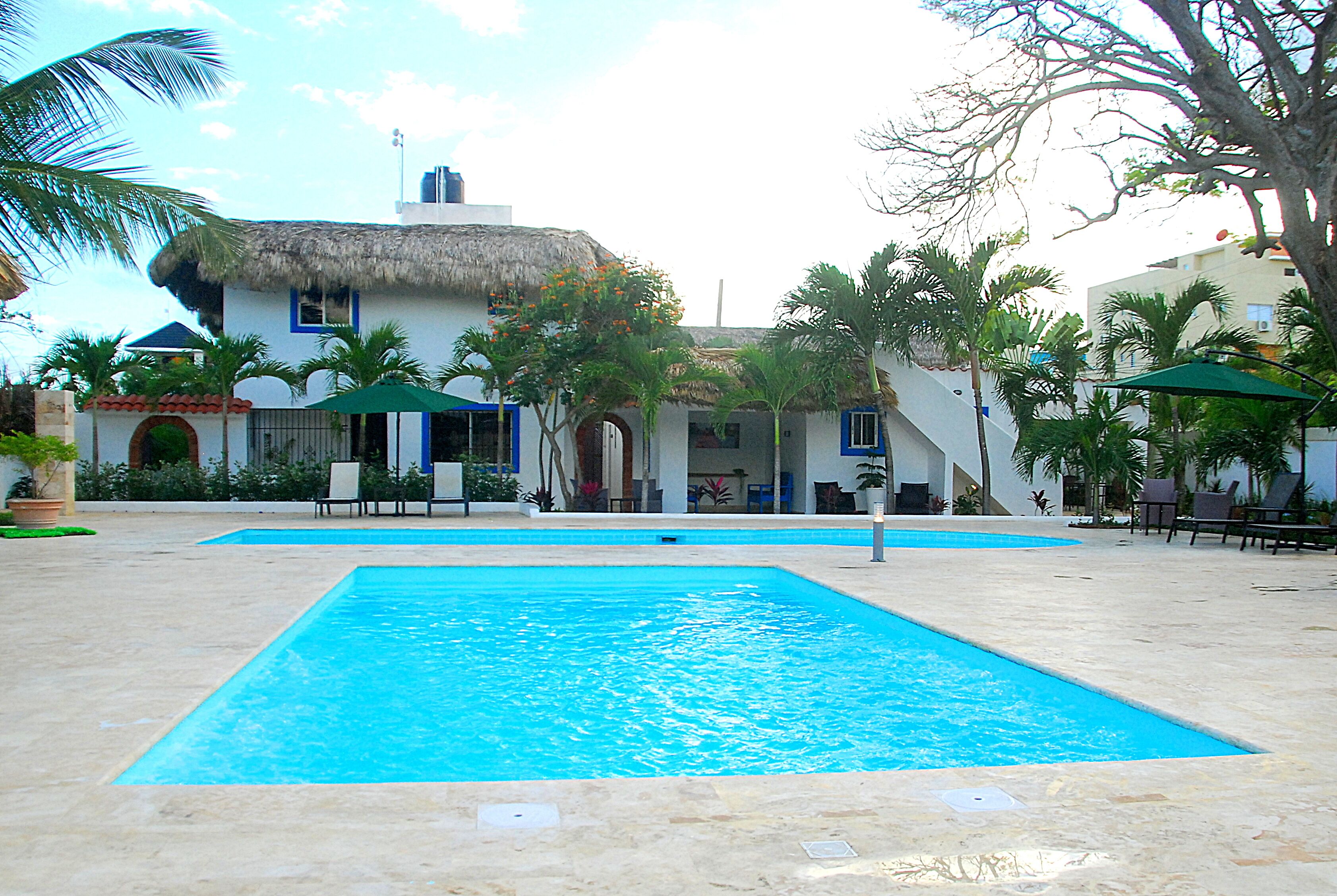 A swimming pool area with a thatched-roof building, palm trees, and outdoor seating.
