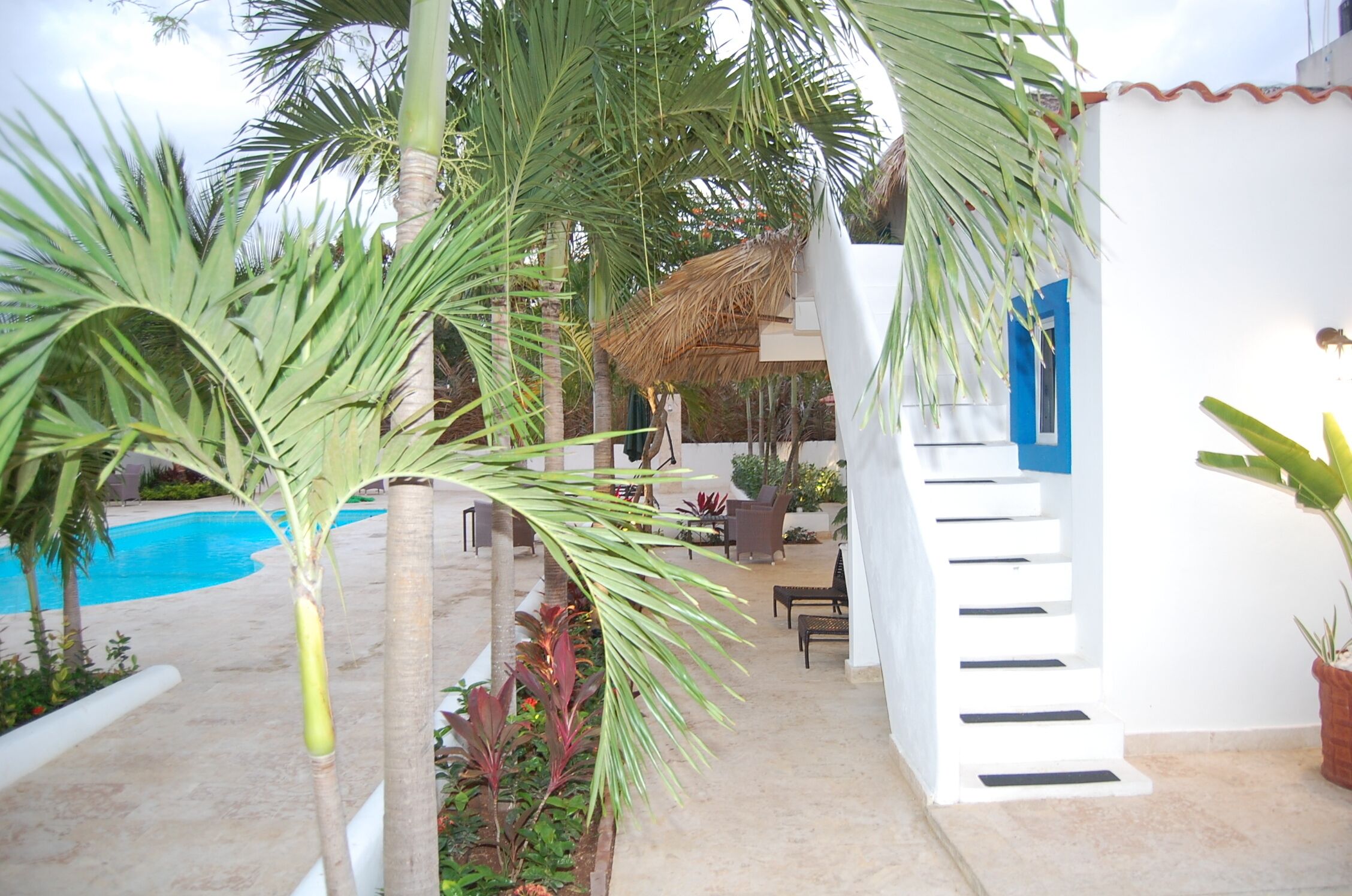 A poolside area with a staircase leading to a covered patio, surrounded by palm trees and potted plants.