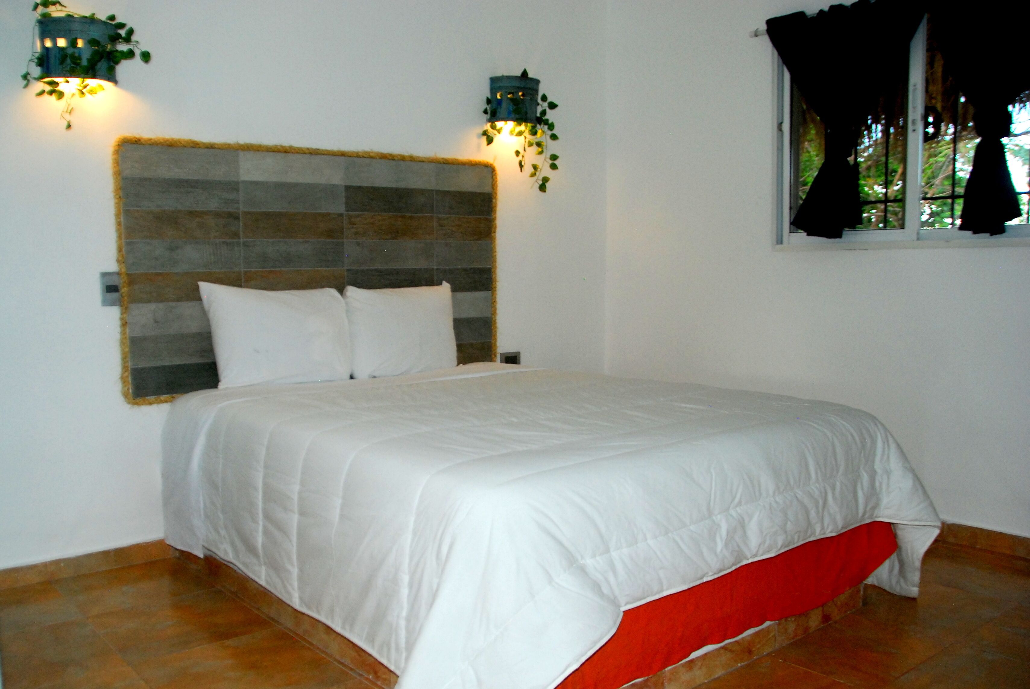 Foto - Nuovo Hotel Playa Catalina