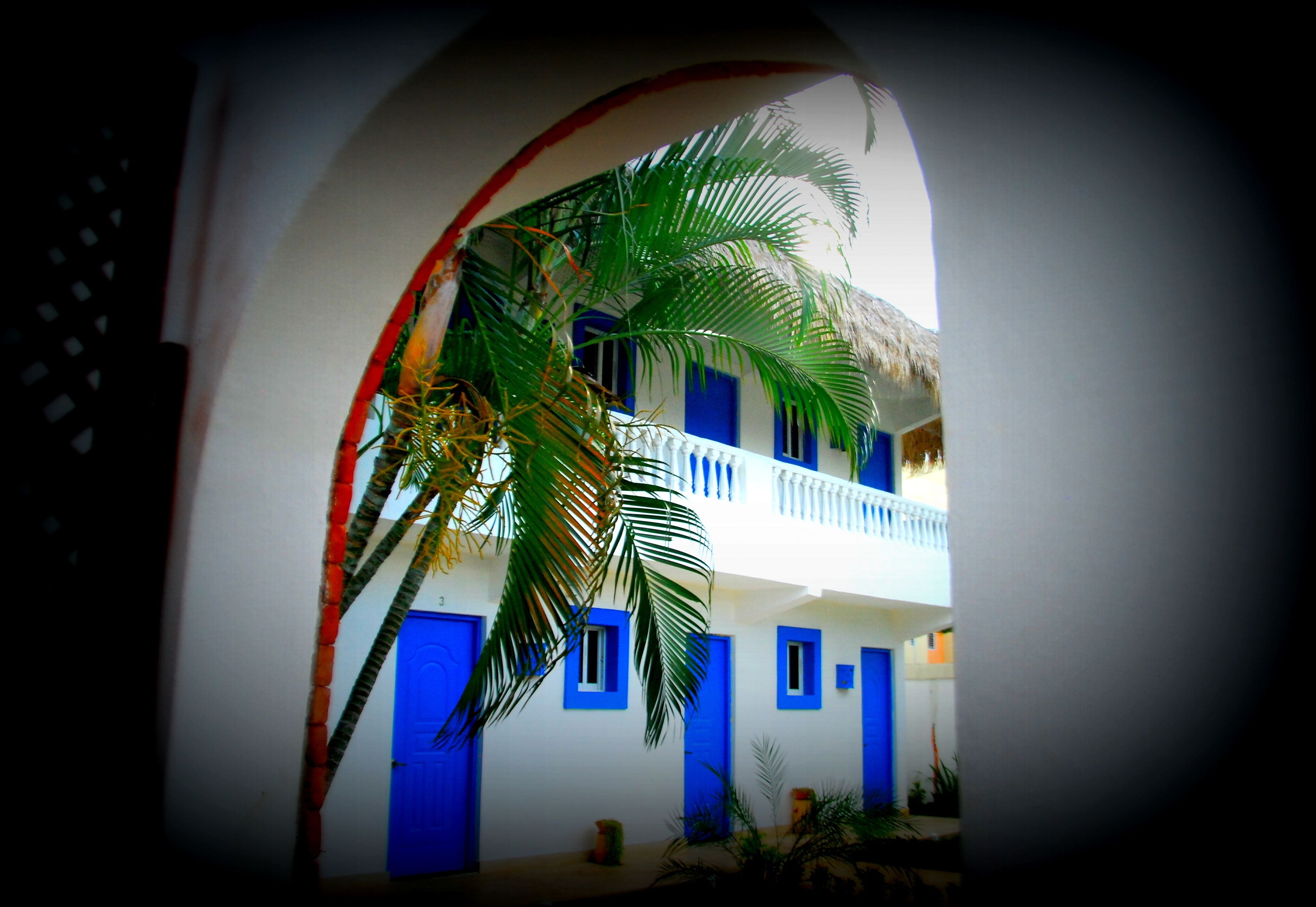 A building with blue doors and windows, a balcony, and a palm tree.