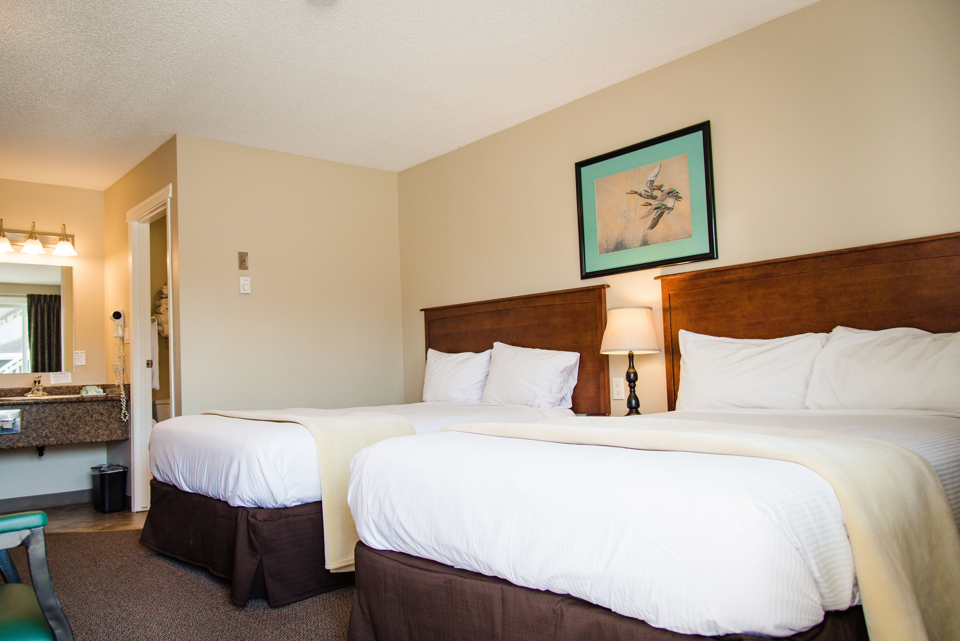 standard double room, 2 double beds | minibar, desk, blackout curtains, iron/ironing board