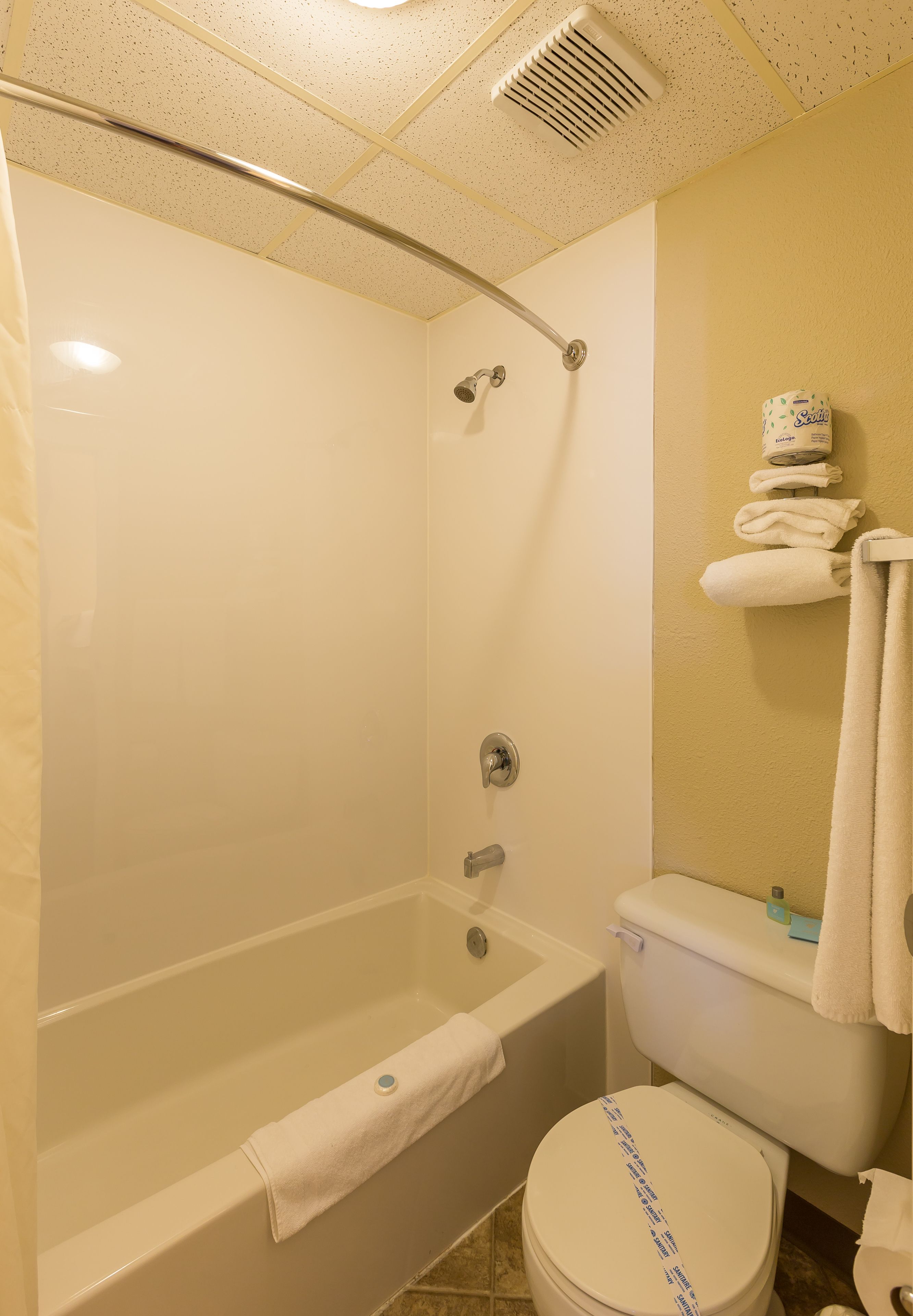 combined shower/bathtub, free toiletries, hair dryer, towels