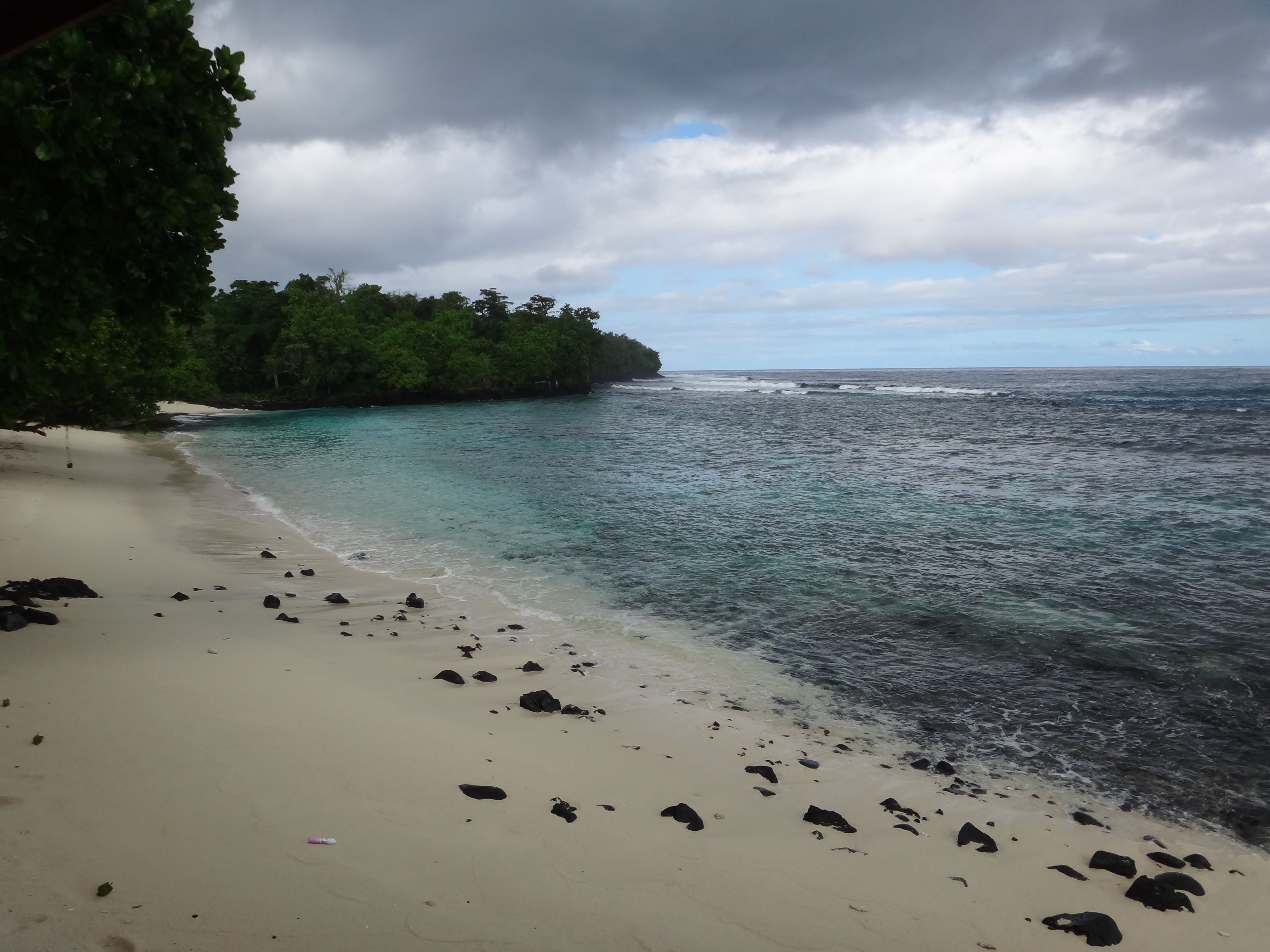 A beach with clear turquoise water, a sandy shore with scattered rocks, and dense green foliage on the left.