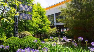 A garden with purple flowers and a building with a modern design.