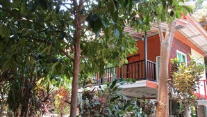 A tropical garden with various plants and trees, a wooden deck, and a building with a red facade and black railings. - Khao Sok Island Resort and Spa (Phanom)