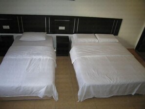 A room with two single beds, each with a white bedspread and matching pillows. The beds have dark headboards and are positioned against a plain wall.