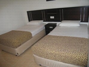 Two single beds with headboards, a nightstand, and a small table.