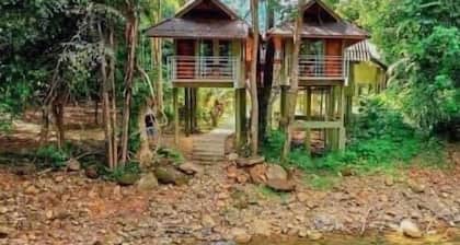 Khao Sok Jungle Huts