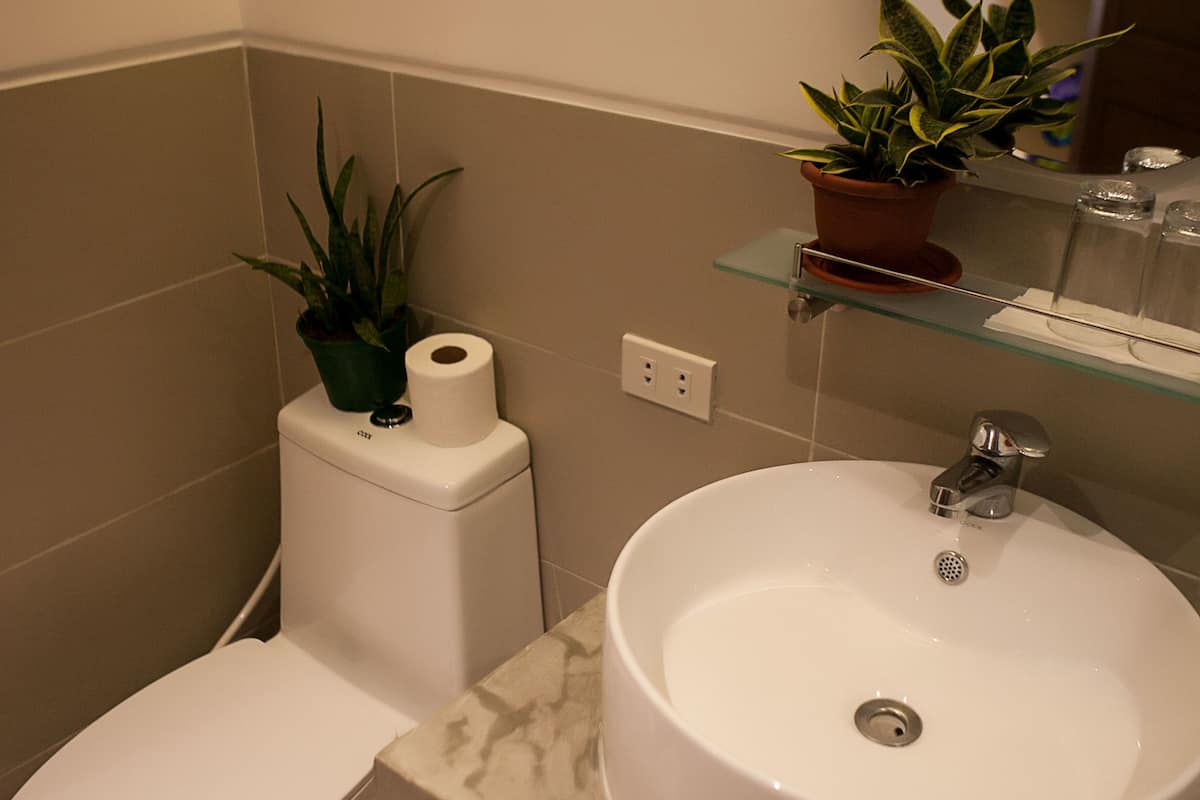 suite | bathroom | shower, rainfall showerhead, free toiletries, hair dryer