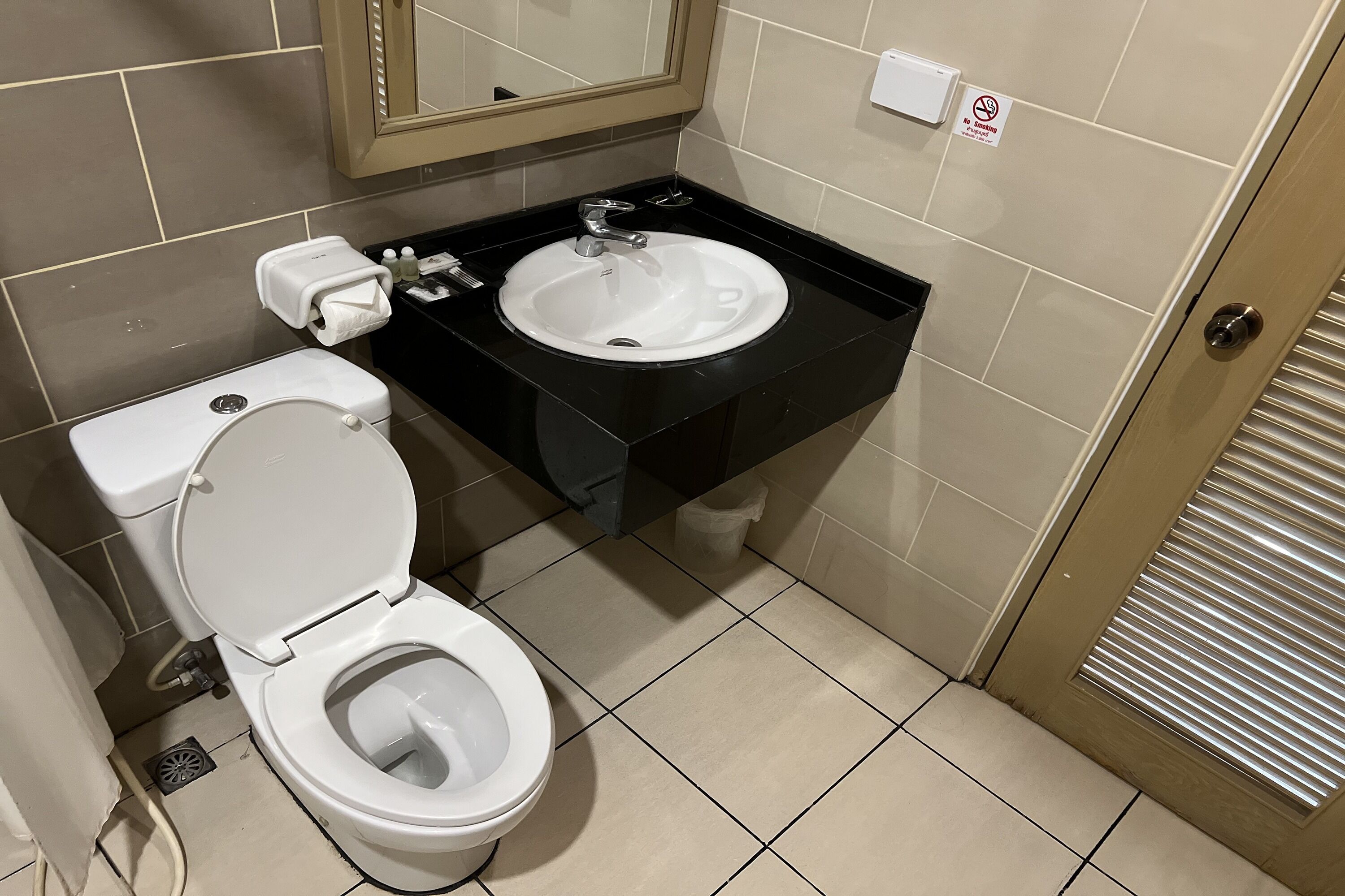 A bathroom with a white toilet, a sink, and a mirror.
