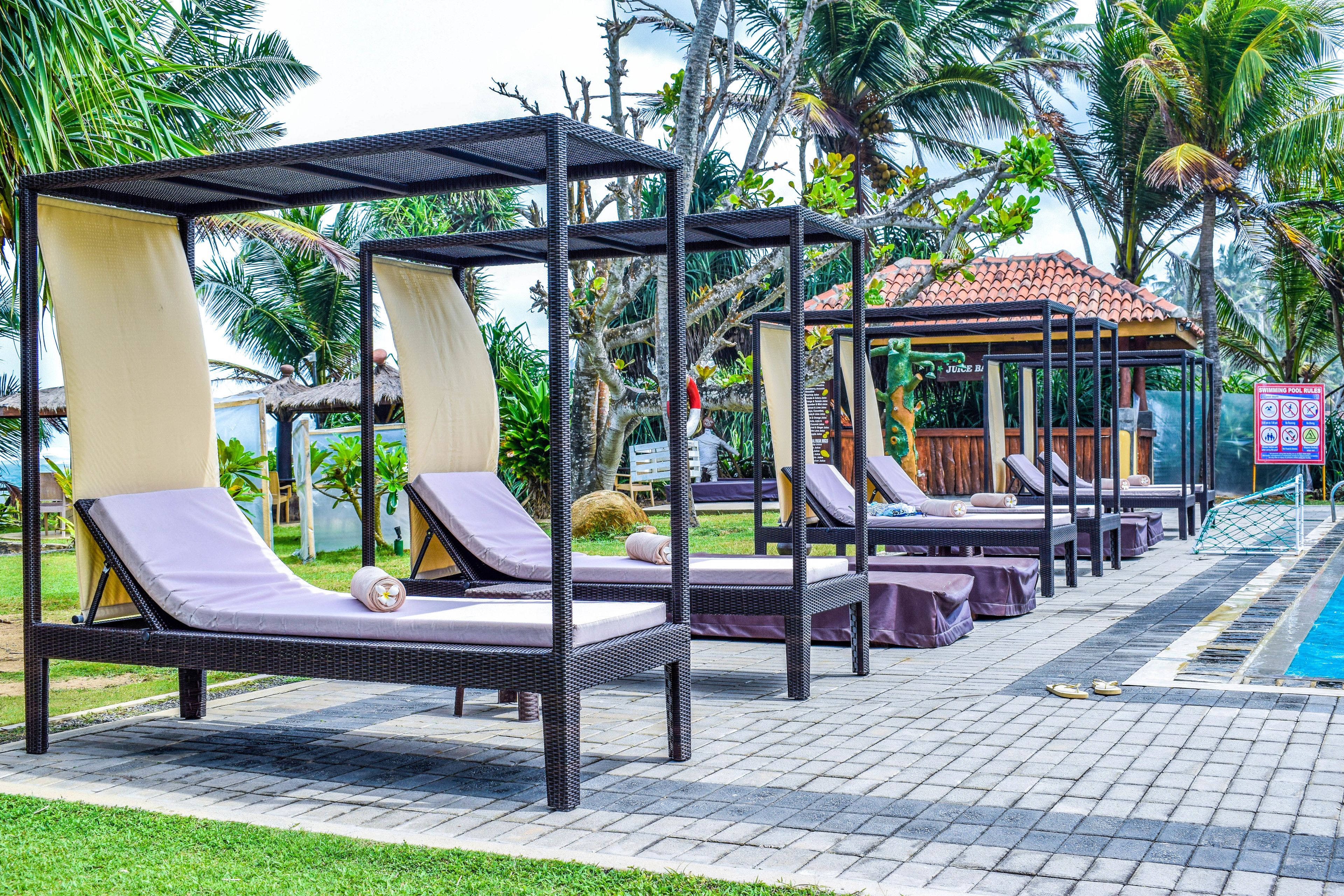 outdoor pool, pool umbrellas, pool loungers