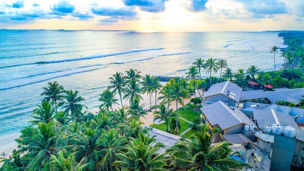 Vista costera con palmeras, una playa y un edificio de techo inclinado.