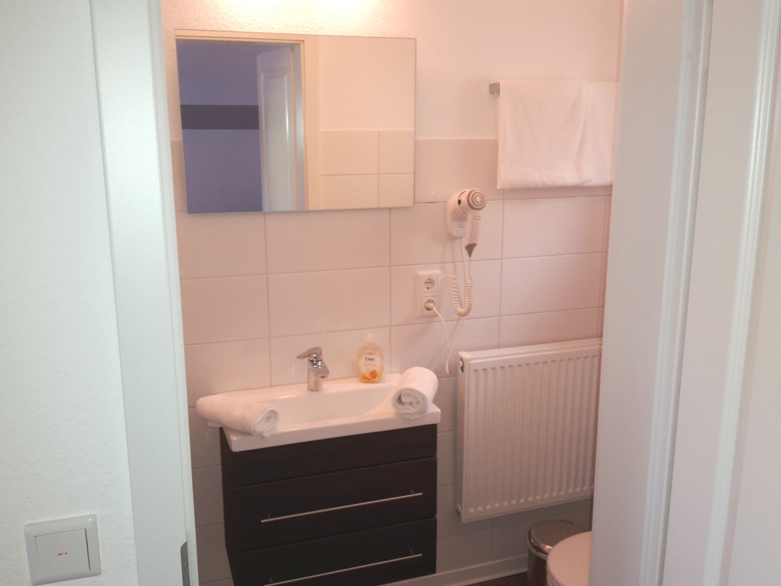 A bathroom with a sink, mirror, towel rack, and a hairdryer.
