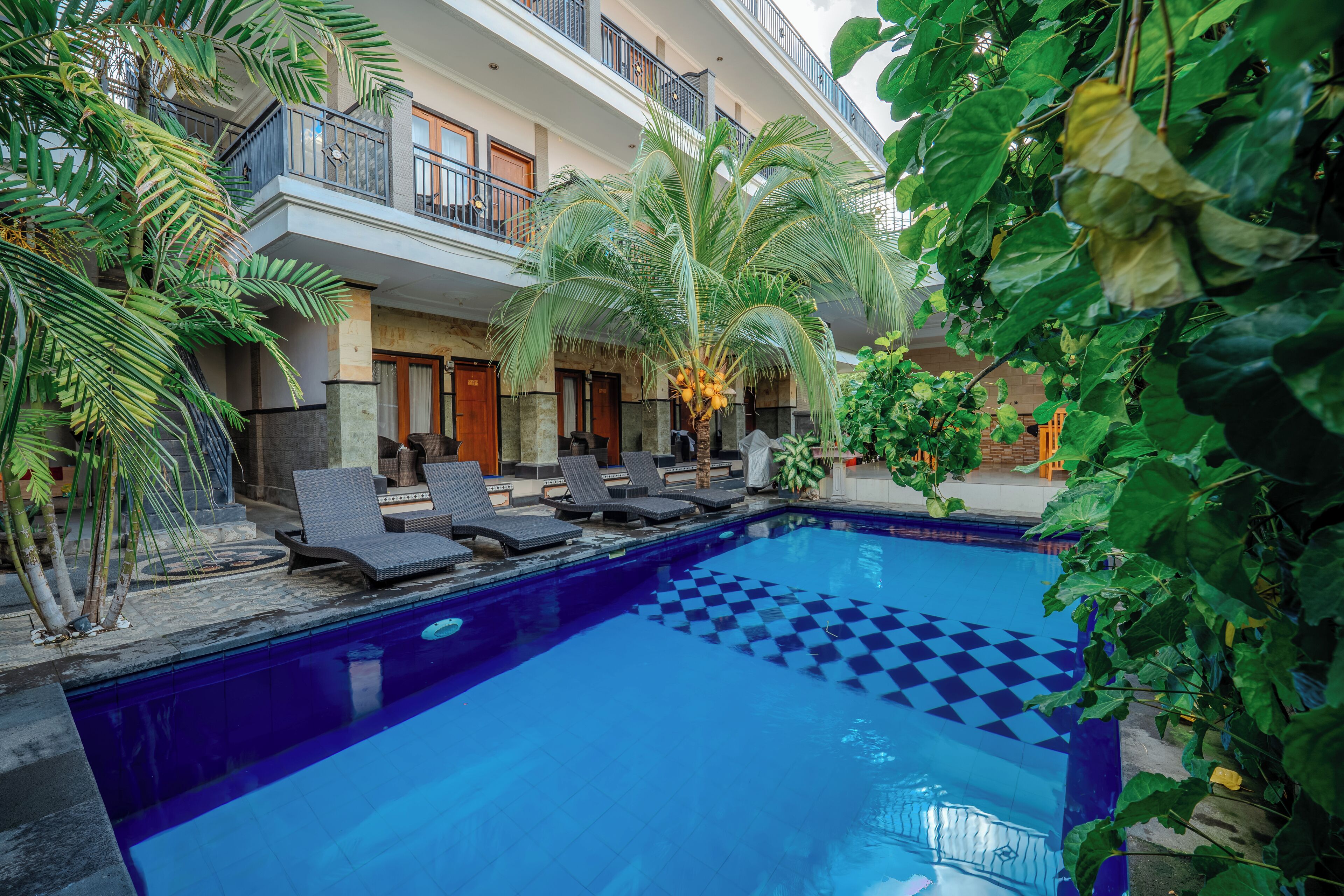 Outdoor pool, sun loungers