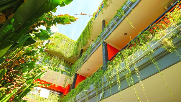 A multi-level atrium with hanging plants and a red accent wall. - Rena Segara House Kuta (Kuta)