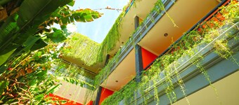 Rena Segara House Kuta