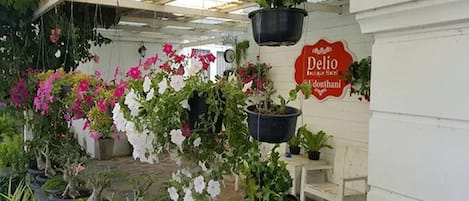 A greenhouse with various potted plants and flowers, a bench, and a sign that reads "Delio Garden Center".