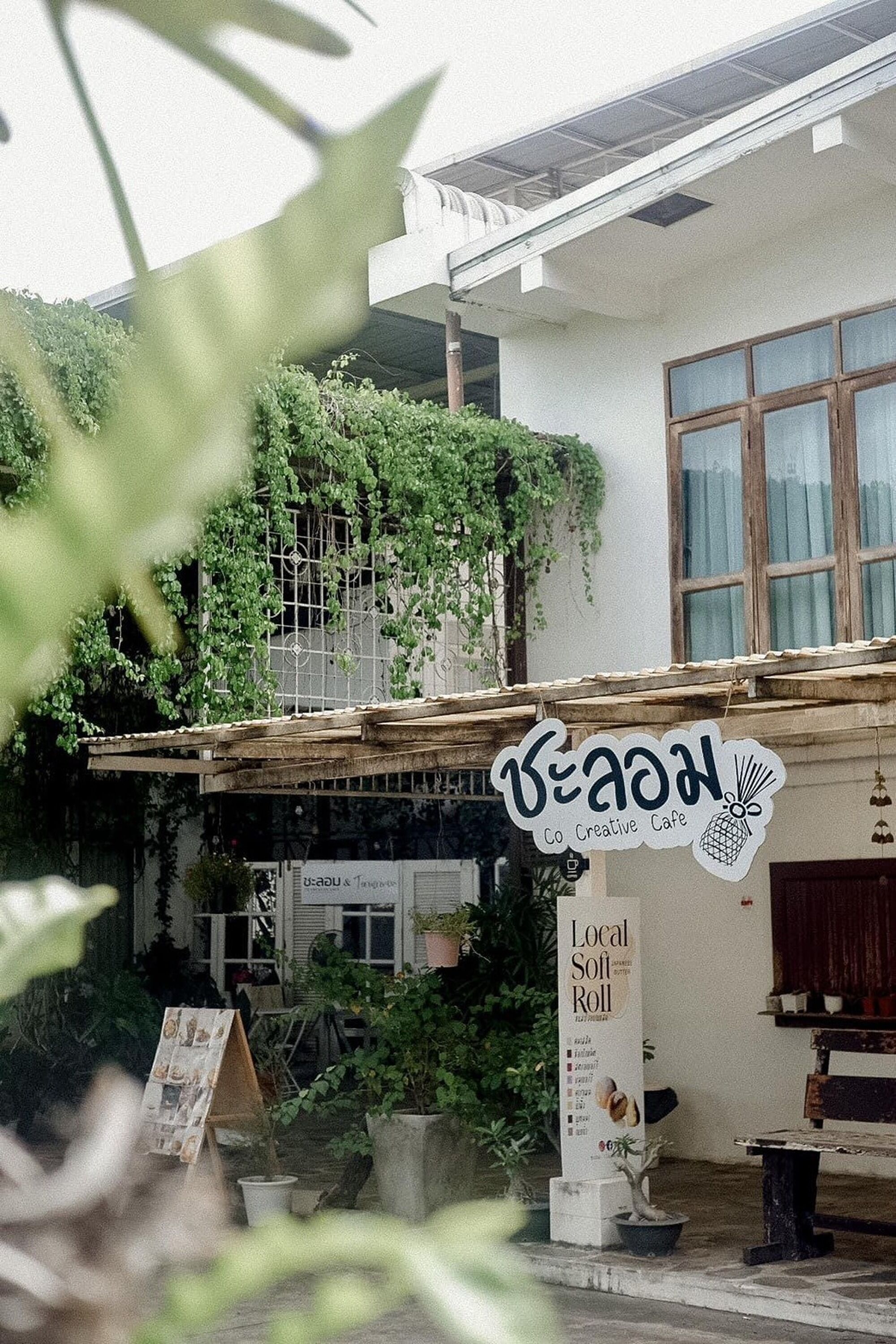 Una cafetería llamada 'BEAN', con un letrero, una pérgola de madera y plantas en macetas.