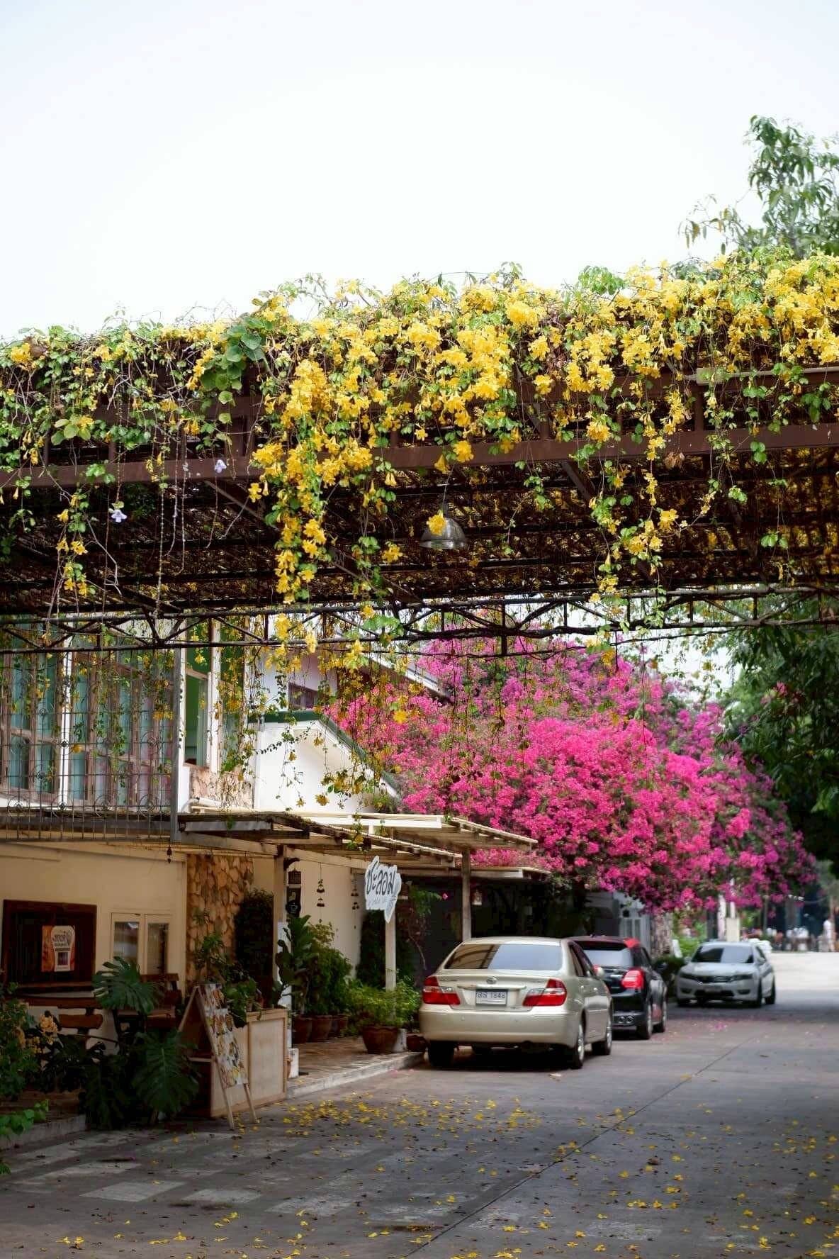 Photo - Delio Boutique Hotel