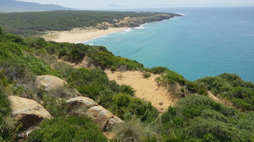 Casa Caracol - Hostel