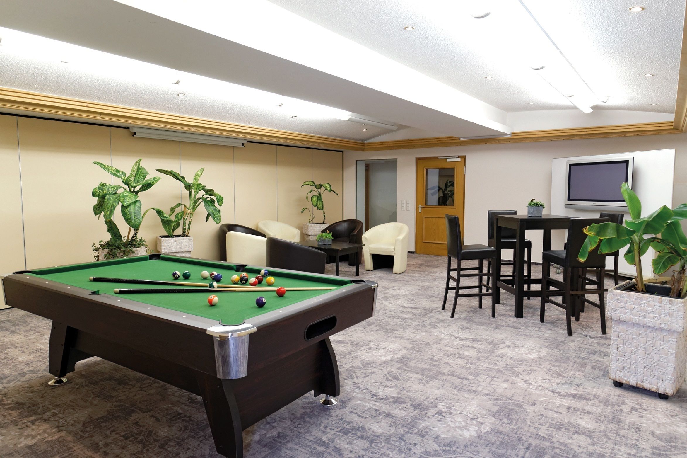 A pool table with balls, a television, and several chairs in a room with plants and a door.