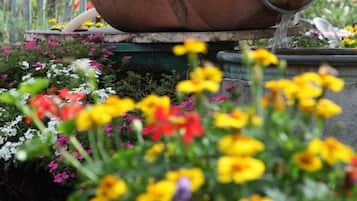 Una gran maceta de barro con agua que brota, ubicada sobre un pedestal en un jardín con flores de colores.