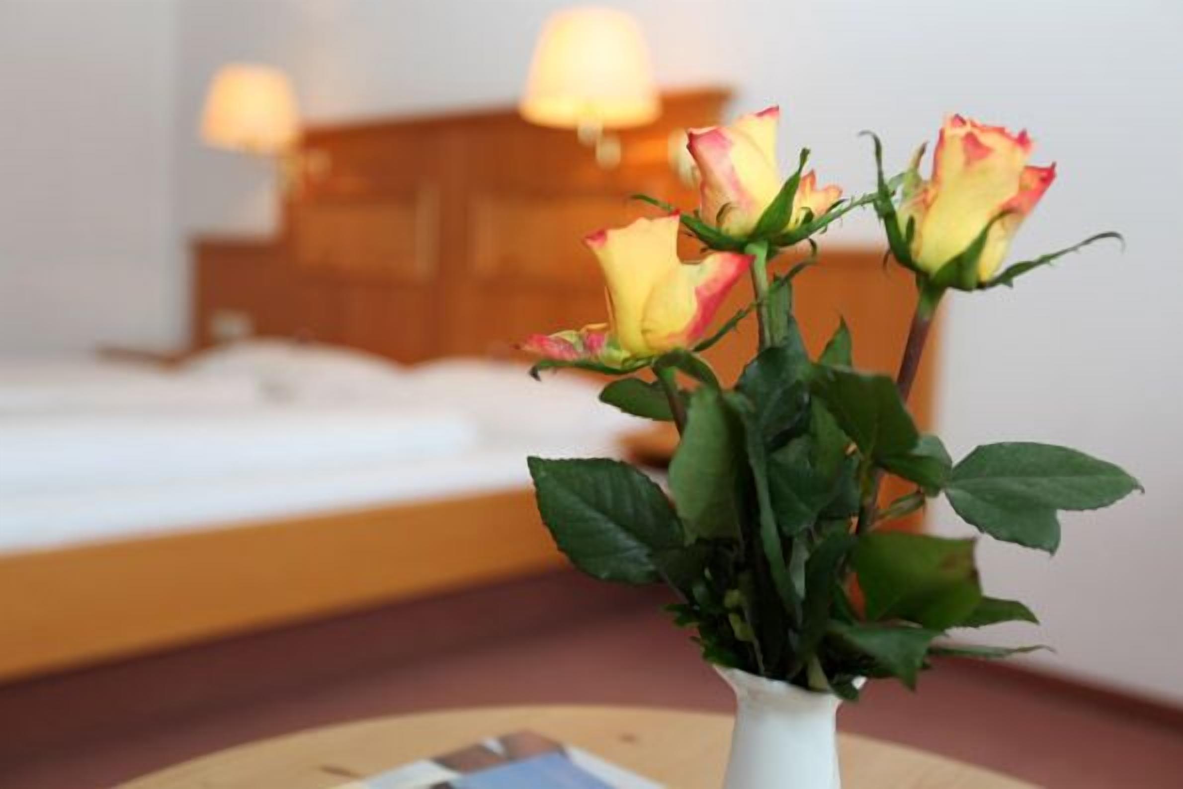 standard double room, 1 double bed, accessible, non smoking | 1 bedroom, minibar, desk, iron/ironing board