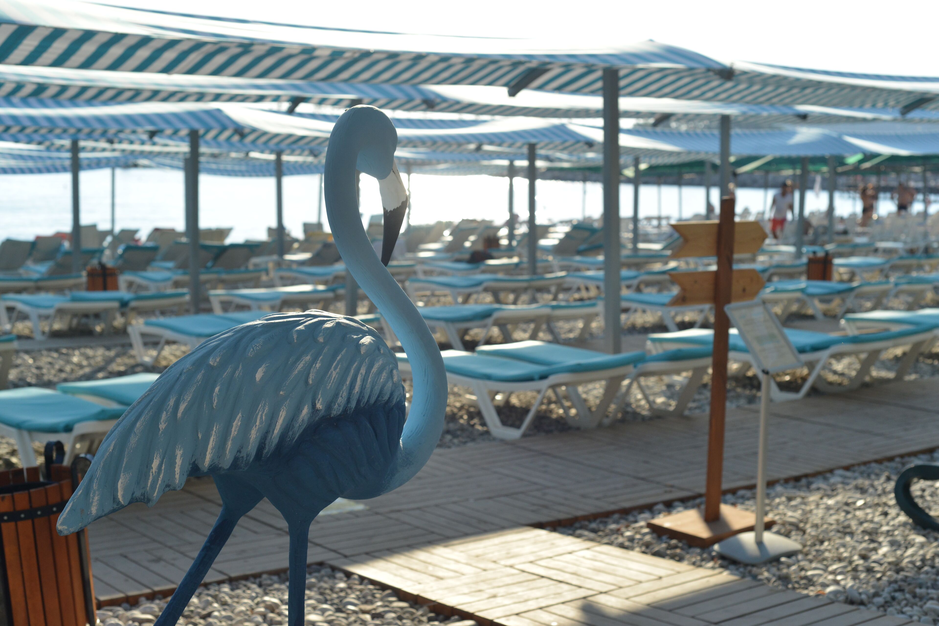 A beachside area with lounge chairs and umbrellas.
