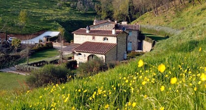 Il Borghetto Andrea Tafi