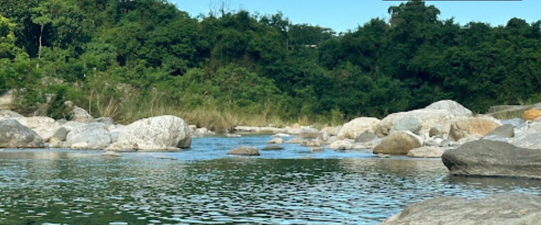 A river with large rocks and dense greenery in the background.