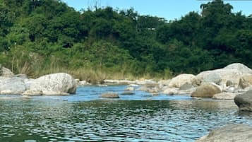 A river with large rocks and dense greenery in the background.