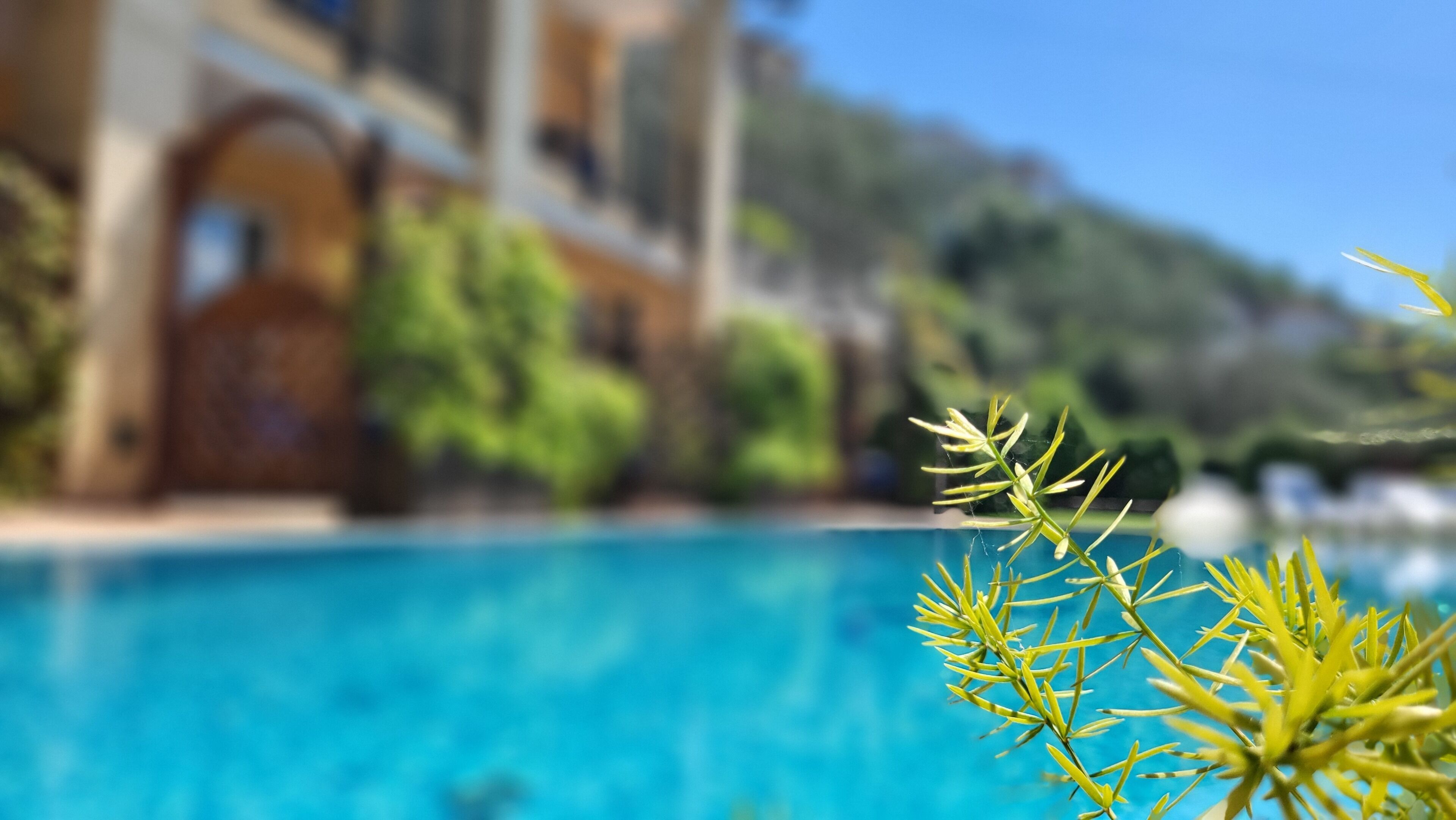 Piscine extérieure (ouverte en saison)