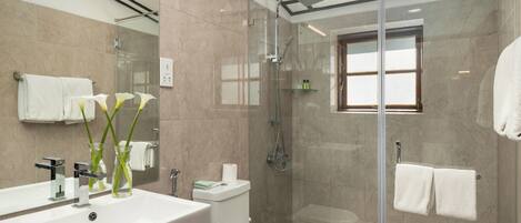Une salle de bain moderne avec une douche à parois de verre, un grand lavabo et des toilettes.