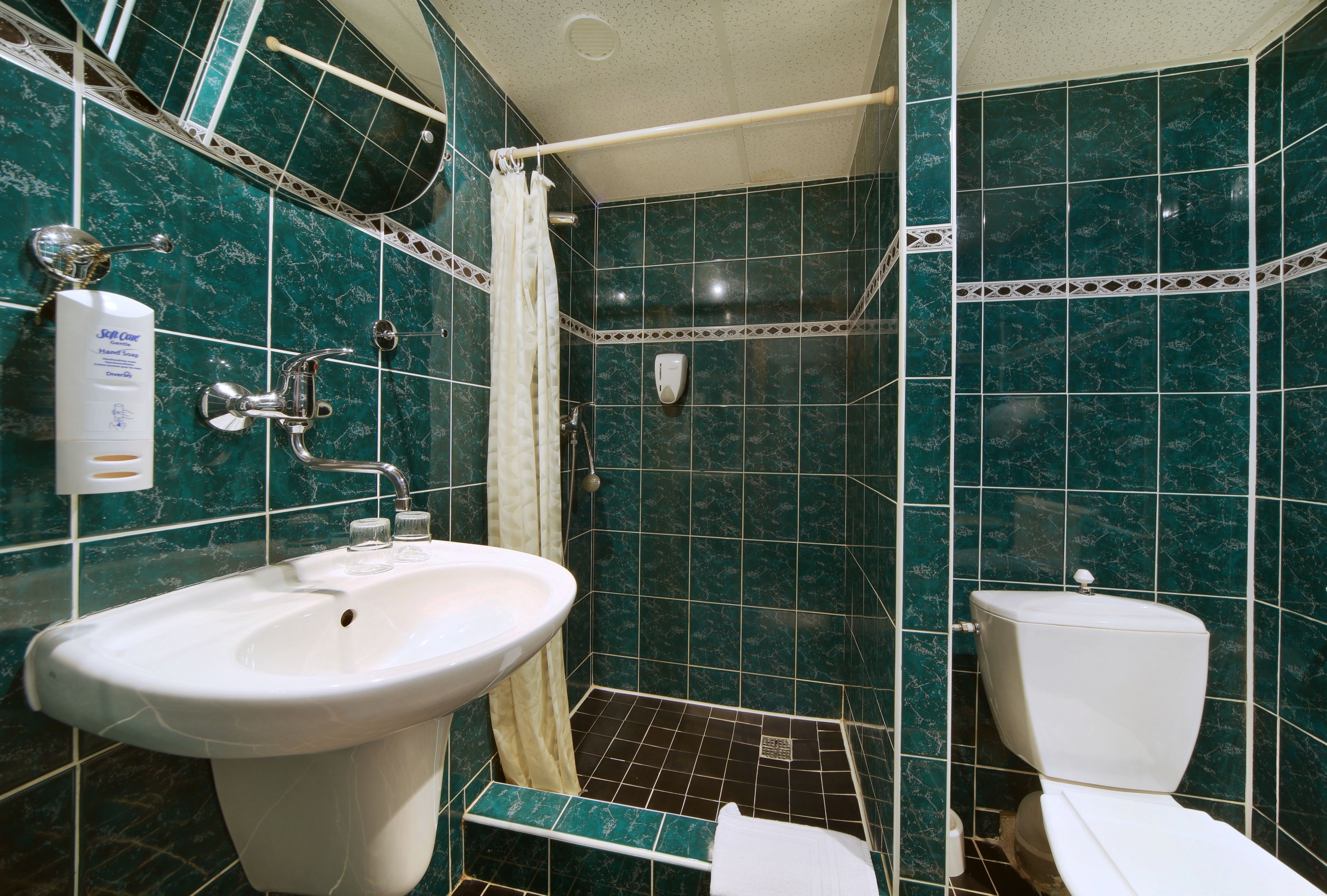Une salle de bain avec un lavabo, des toilettes et une douche.