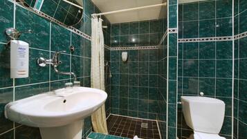 Une salle de bain avec un lavabo, des toilettes et une douche.