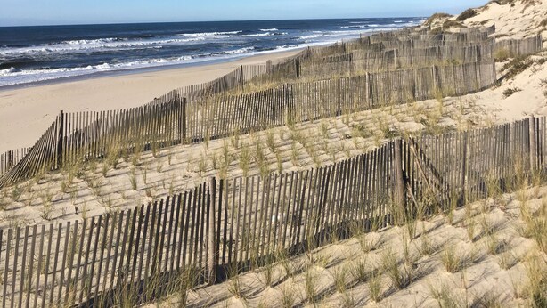 A beach with a wooden fence and dunes. - Casa da Lagoa (Mira)