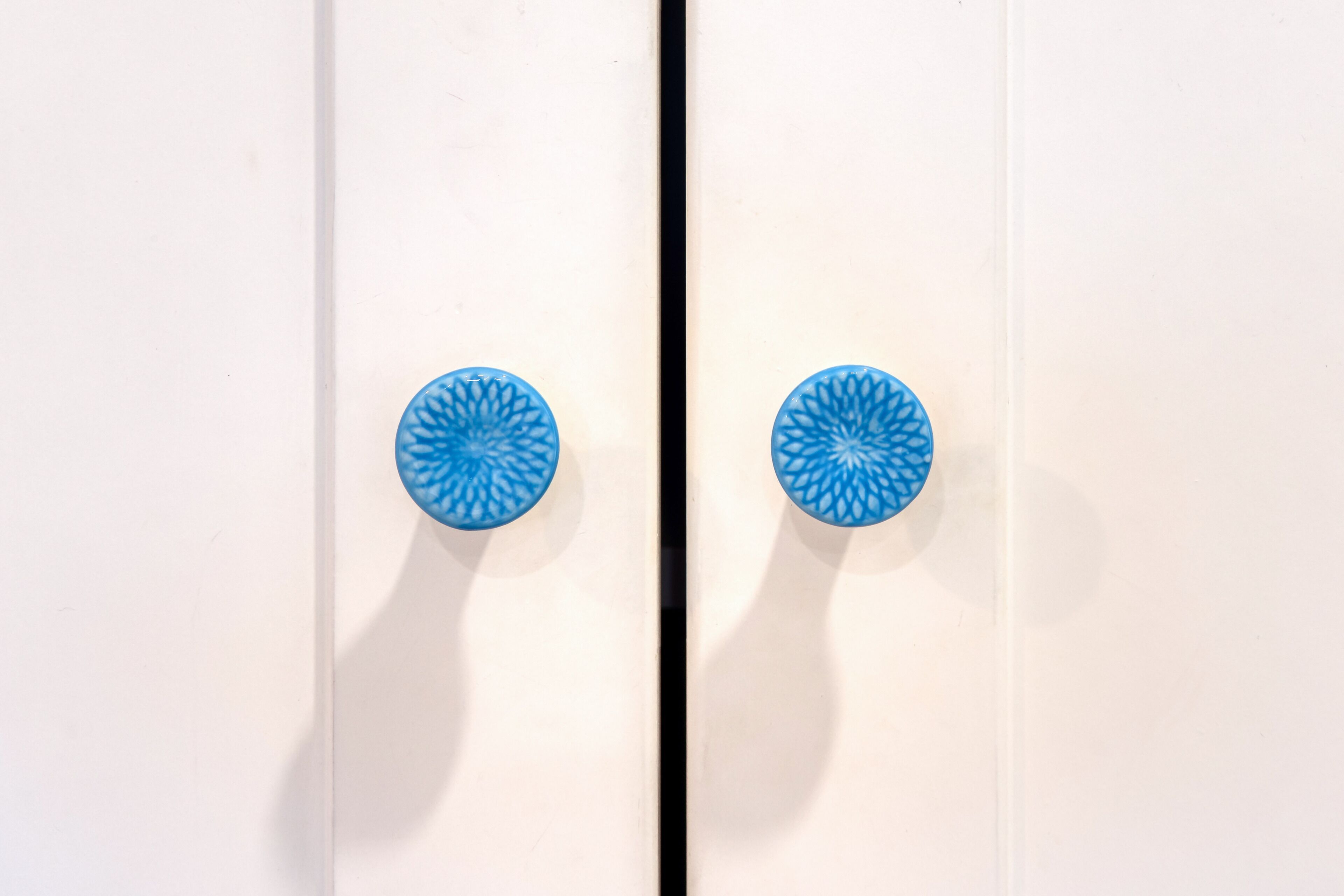 Une porte blanche avec deux poignées circulaires bleues.
