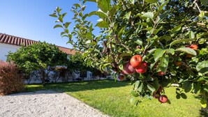A garden with a gravel path, a tree with red apples, and a building with a tiled roof in the background. - Casa da Lagoa (Mira)