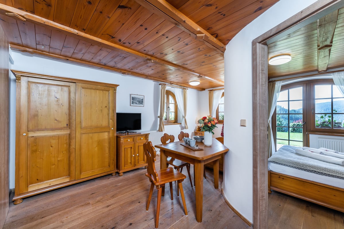 A wooden dining table with chairs, a television, and a window with curtains.