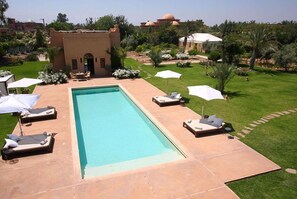 A rectangular swimming pool with lounge chairs and umbrellas, surrounded by a well-maintained lawn and palm trees. - Dar Cherif (Marrakech)