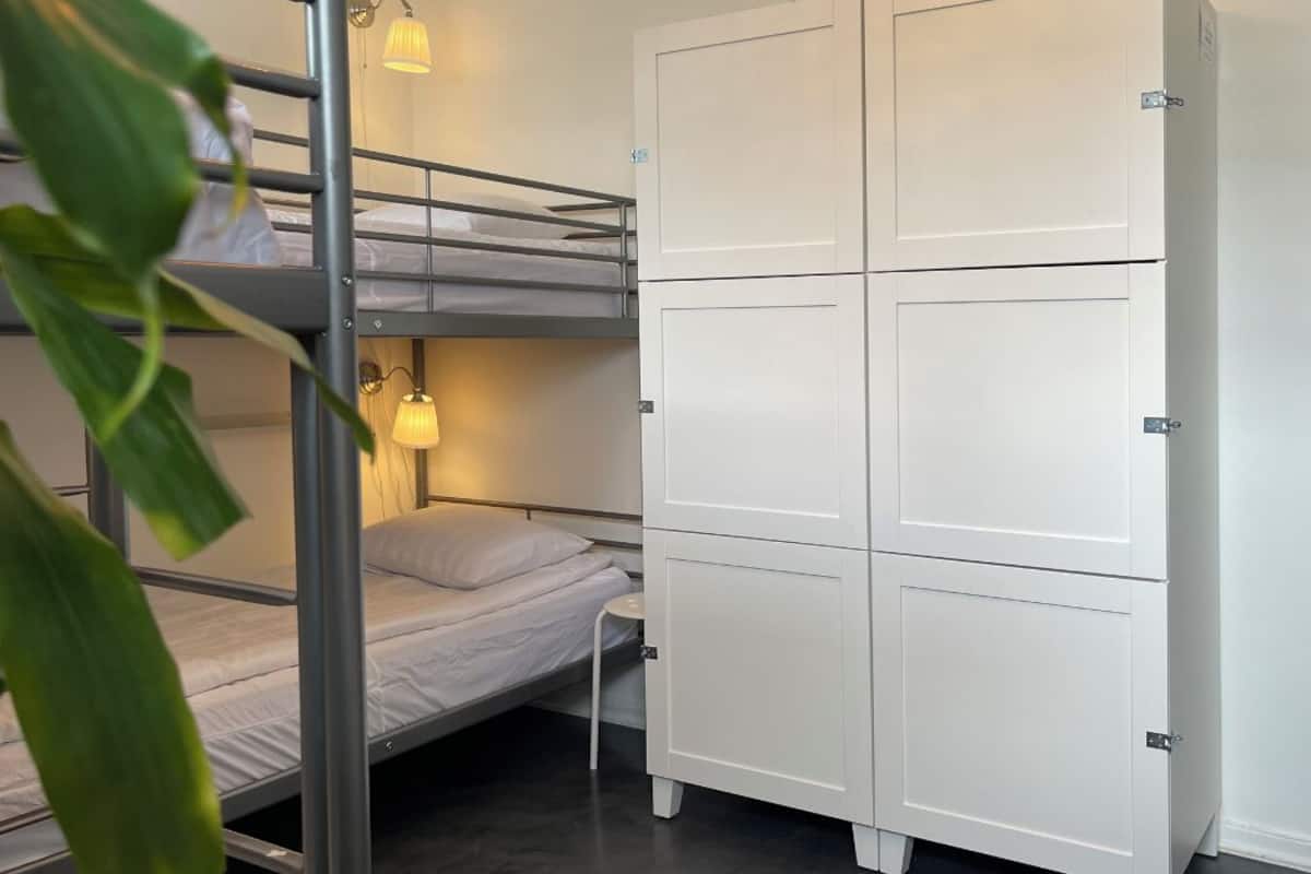 A bunk bed with a bedside table and lamp, a white wardrobe, and a plant in the foreground.