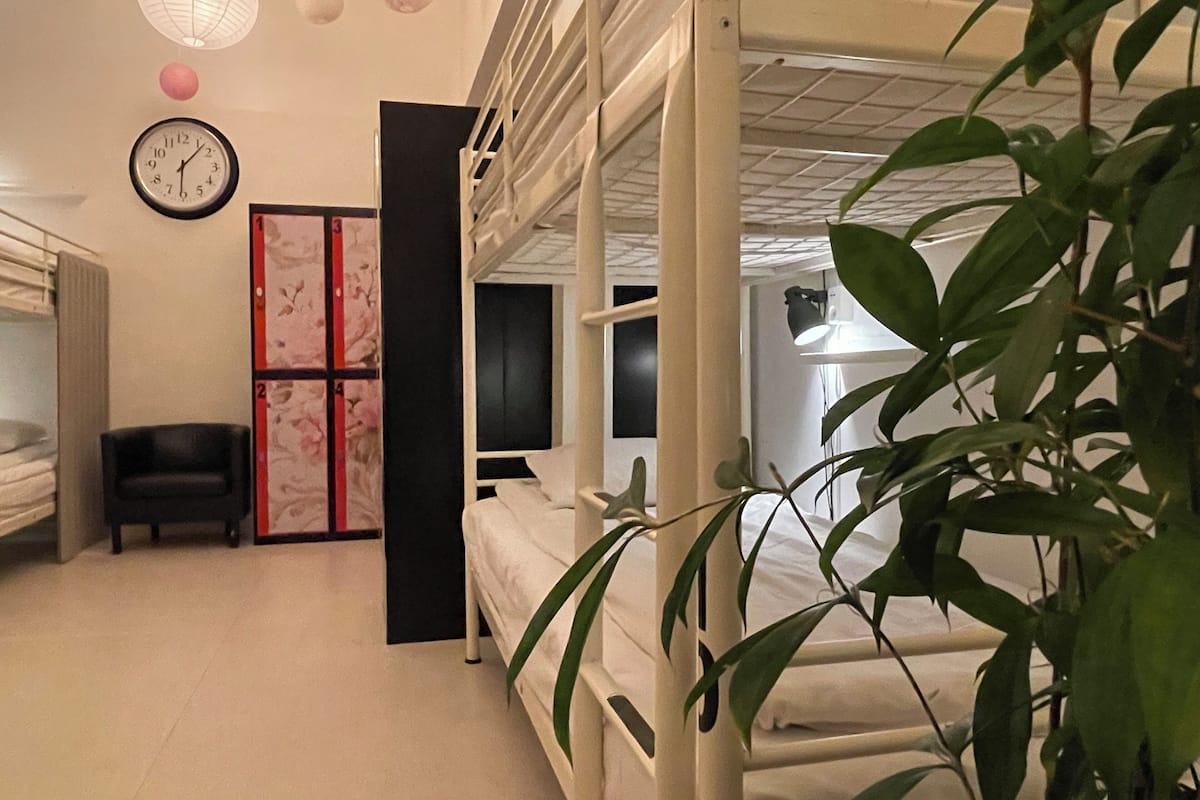 A dormitory room with bunk beds, a desk, a chair, a clock, and a plant.