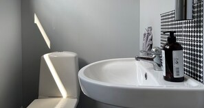 Regadera, secadora de cabello, pantuflas, papel de baño 