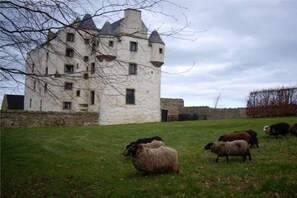 Exterior - Faside Estate (Musselburgh)