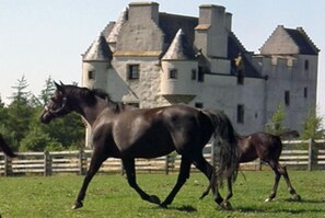 Exterior - Faside Estate (Musselburgh)