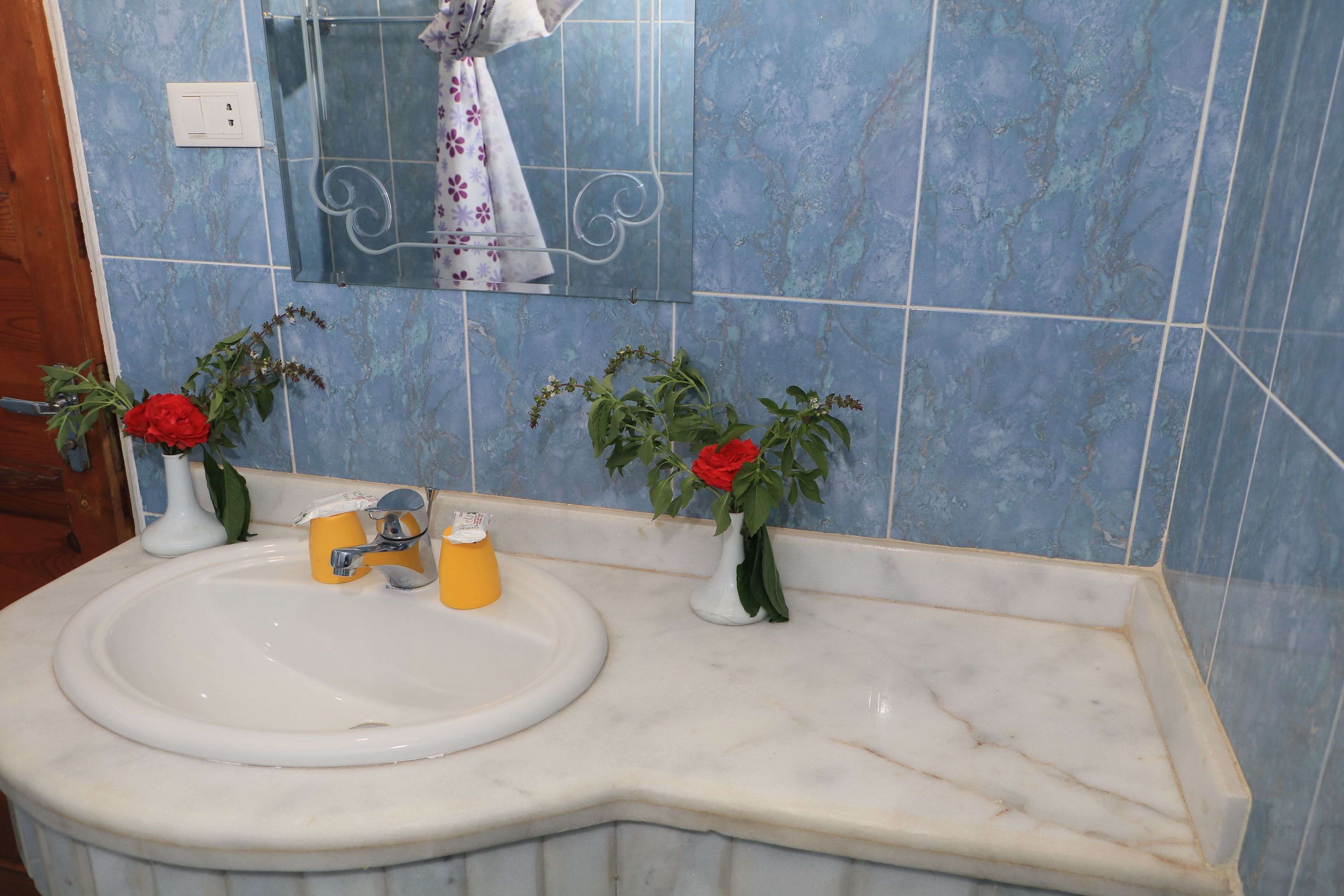 deluxe double or twin room, garden view | bathroom | shower, hair dryer, towels
