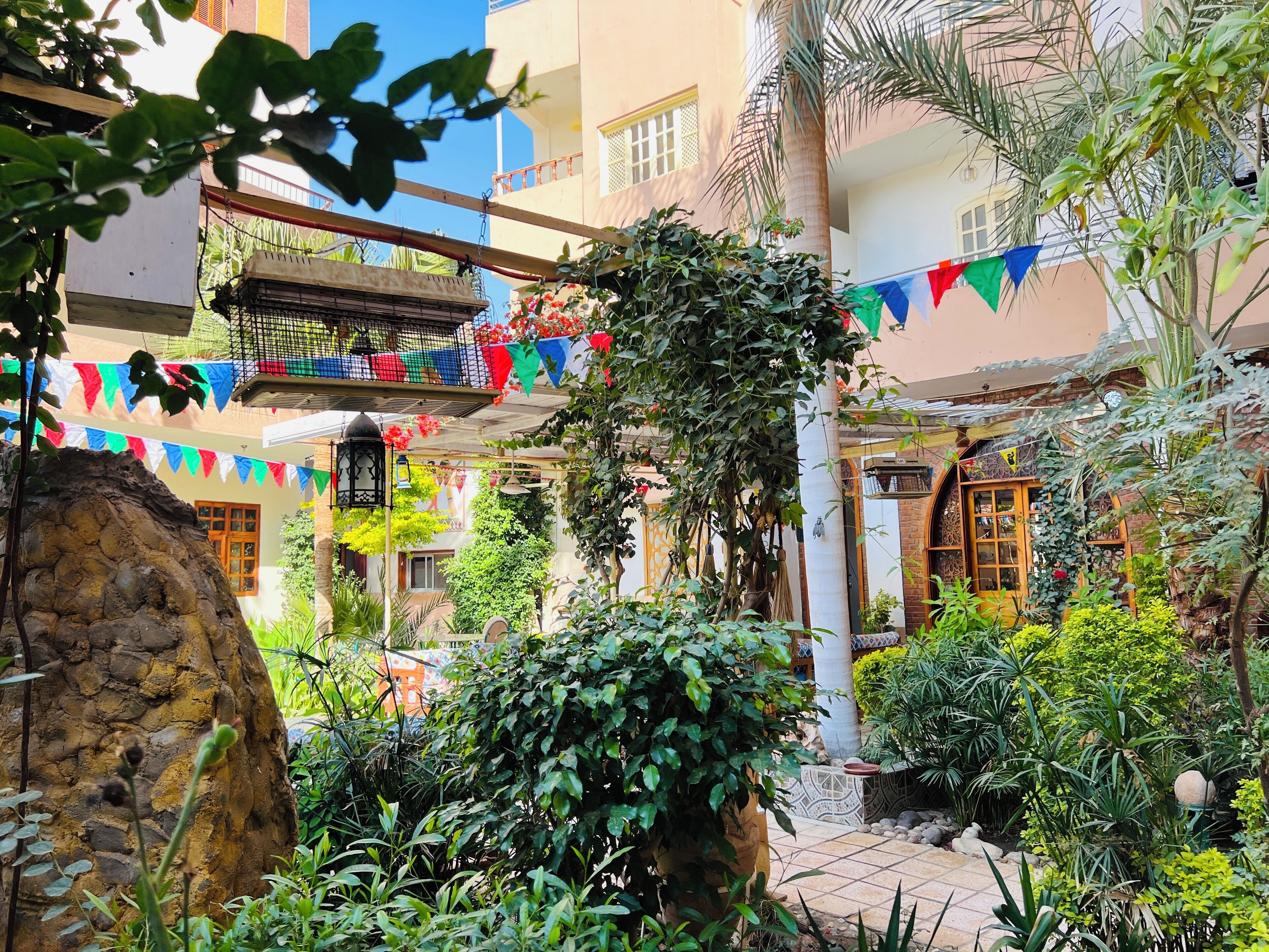 Garden view